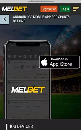 MELBet App